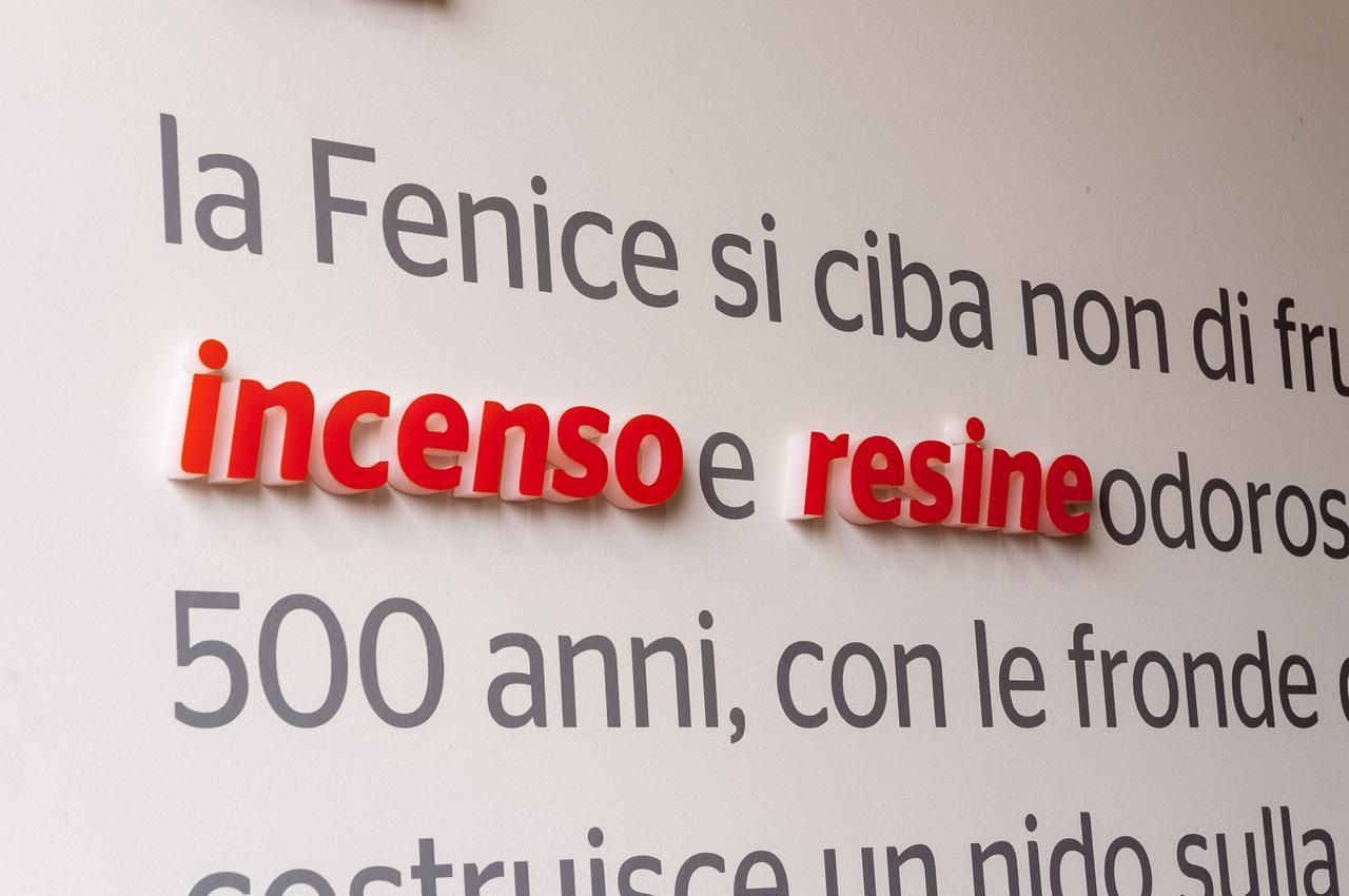 Villa Fenix Osio Sotto Buitenkant foto